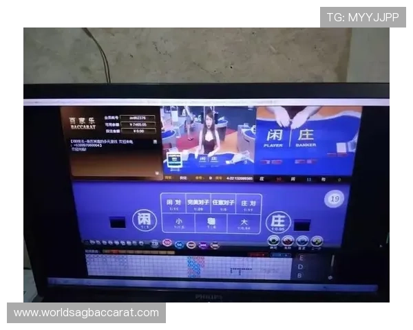 掌握百家乐路单软件下载技巧快速掌握牌路分析方法
